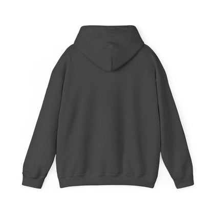 fLAgship Renaissance Hoodie - Gildan