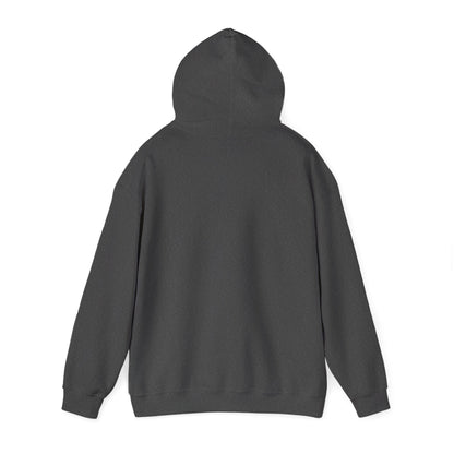 fLAgship Renaissance Hoodie - Gildan
