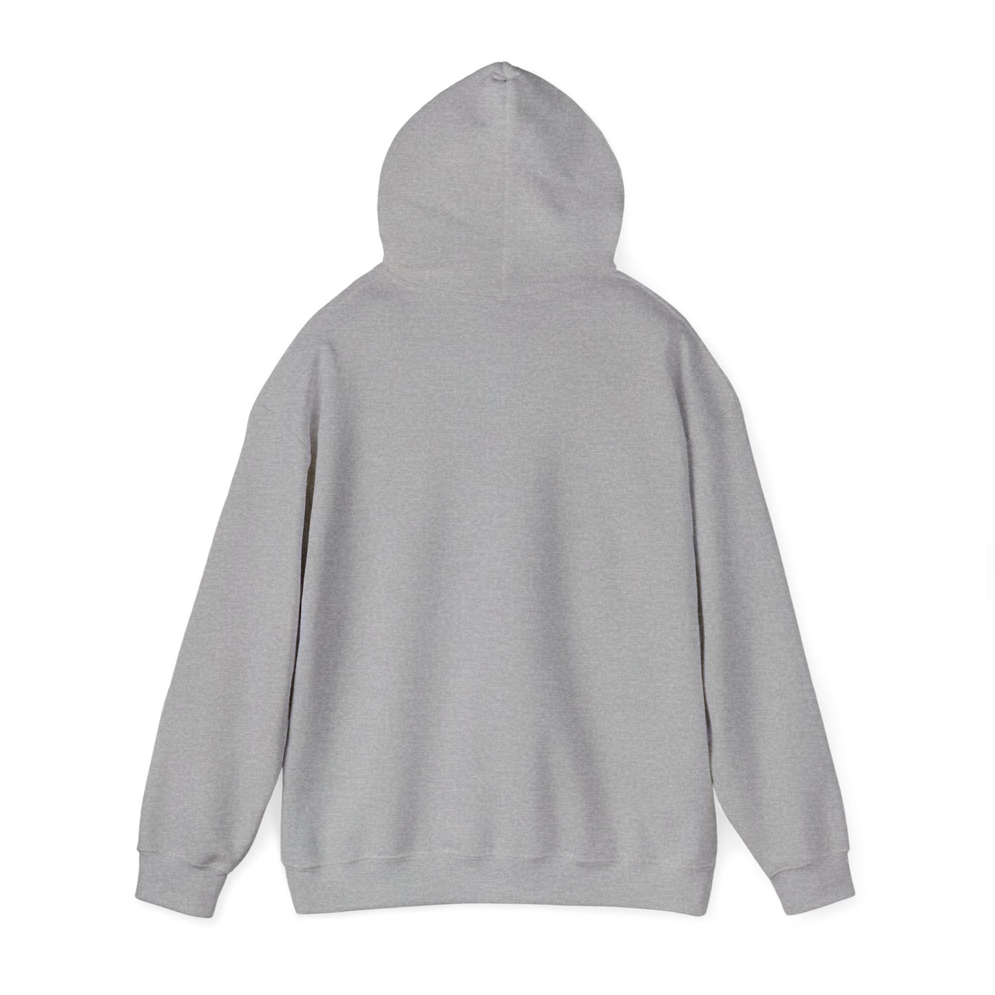 fLAgship Renaissance Hoodie - Gildan