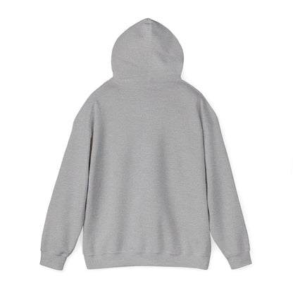 fLAgship Renaissance Hoodie - Gildan